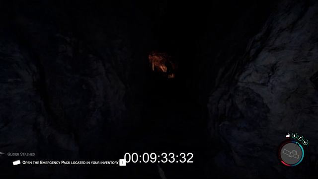 I BEAT 1.0 in 17 MINUTES | Sons of the Forest Speedrun
