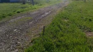 с. Дмитриевка