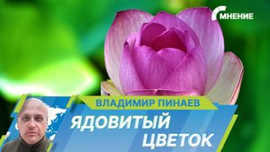 В Подмосковье умер годовалый ребенок, пожевав цветок с куста. Какие растения смертельно опасны?