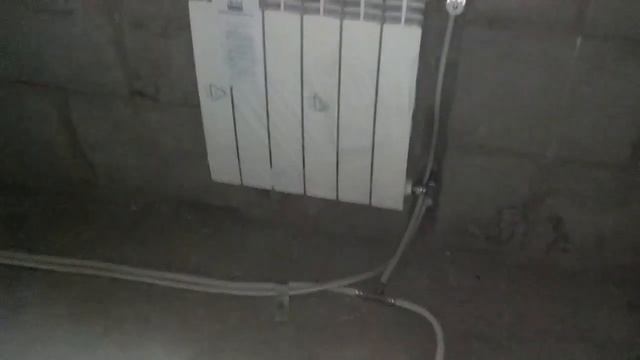 Лап у совы две смотреть онлайн