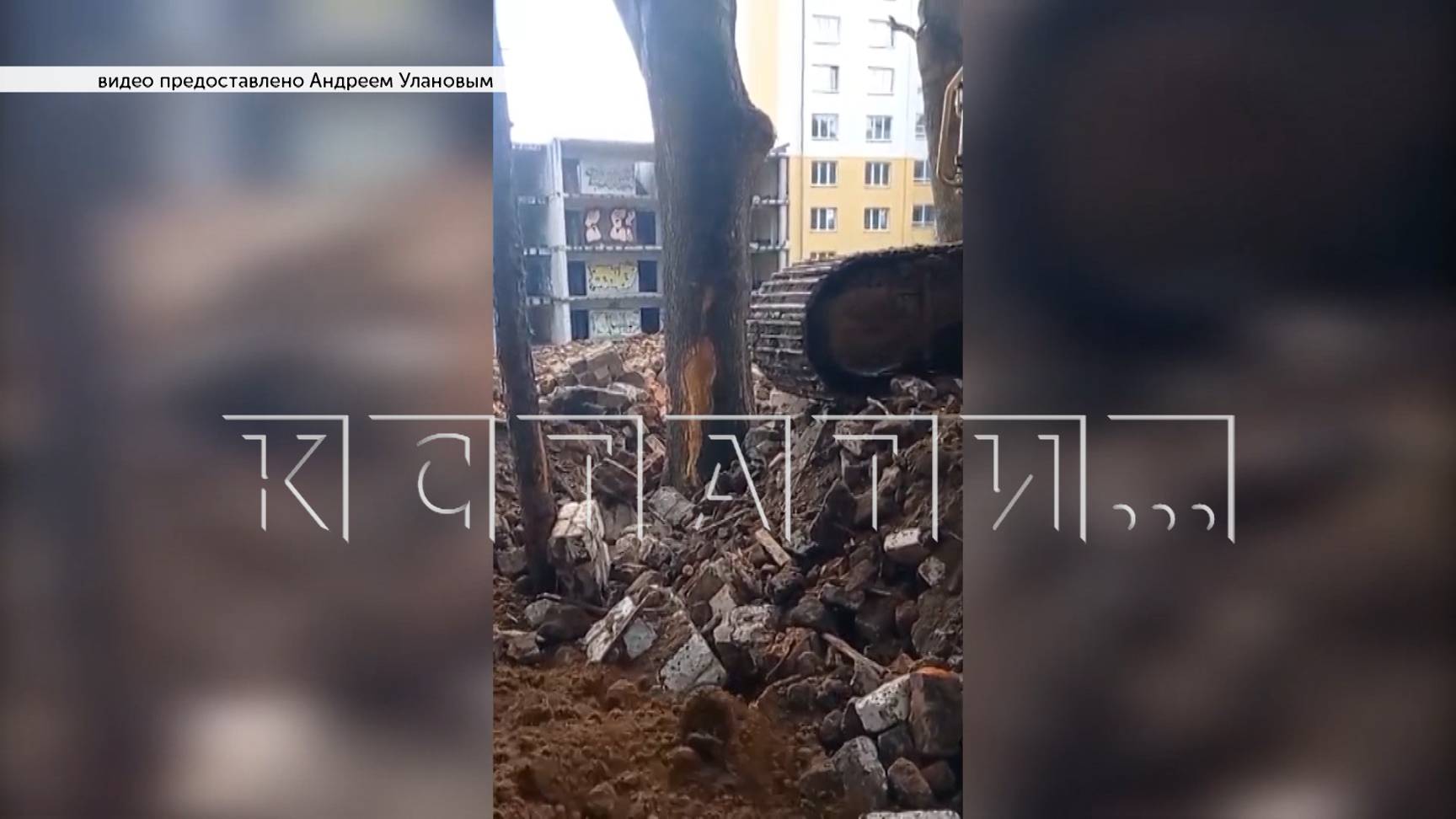 2 недели полиция не пресекала незаконную вырубку деревьев центре города, пока их не спилили
