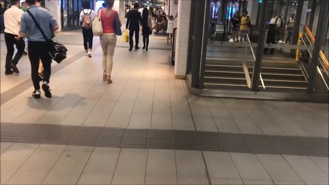 Волонтёры и посетители: что и зачем делать на выставке в России в марте 2018. [1Australia]#1561 смотреть онлайн