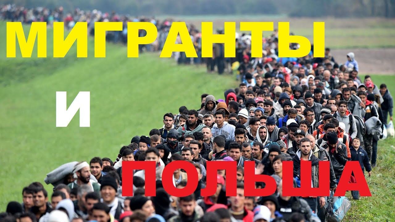 Польша победит иммигрантов раз и навсегда: стоит ли нам перенять польский опыт?