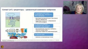 "Фокус на управление рисками у пациента с ССЗ на амбулаторномприеме" - Никулина Светлана Юрьевна