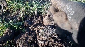 Супер коп на месте старого хутора с Garrett Euro Ace .