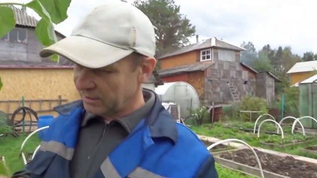 ИТОГИ ВЫРАЩИВАНИЯ ЦВЕТОВ 2020! смотреть онлайн