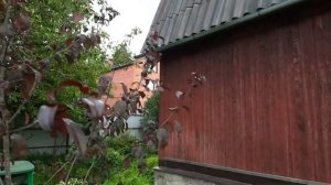 Продажа дома в СНТ "Лесное"