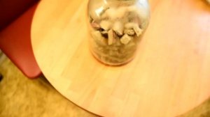 Хмельной Квас