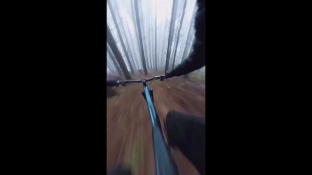 Скоростной спуск!