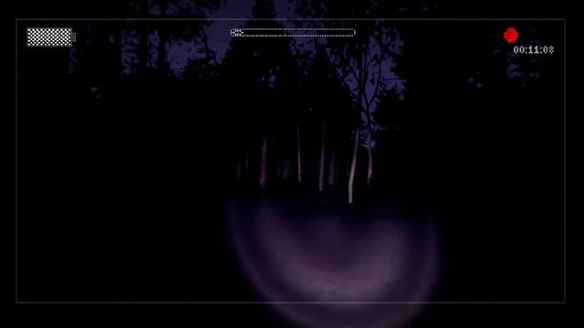 СТРАХ, КРИКИ, ИСТЕРИКА • Slender - The Arrival • #2