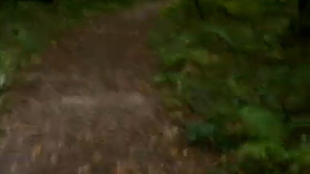 Козлов этих вести... босиком ножки пачкаю... хоть что то хорошее:( ЗЛЫДНИ на! смотреть онлайн