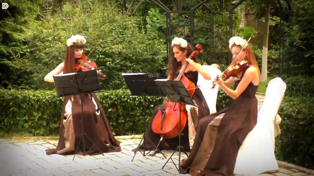 Violin Group DOLLS - музыканты на свадьбу, Немчиновка-Парк