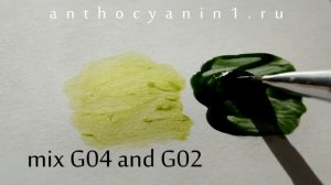 Смешивание Anthocyanin G04 и G02