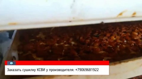 О технологии сублимационной сушки подробно. Оборудование для лиофильной сушки