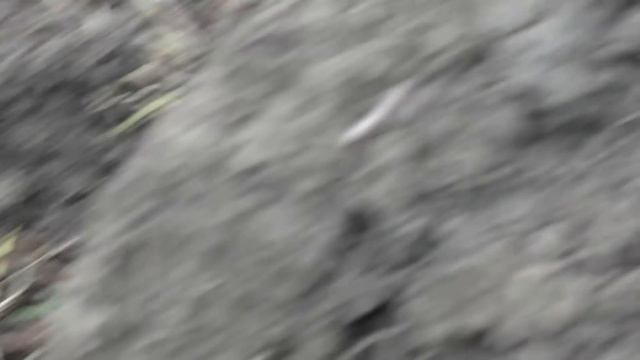 НАХОДКИ КЛАДОИСКАТЕЛЕЙ В ЖИЛОЙ ДЕРЕВНЕ ПОИСК МОНЕТ С МЕТАЛЛОИСКАТЕЛЕМ КОП ПО СТАРИНЕ