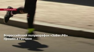 Всероссийский полумарафон «ЗаБег.РФ» прошёл в Гатчине