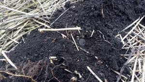 Открыл сезон 2022 хорошие находки.mp4