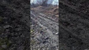 Охота с пневматикой на сорок и ворон