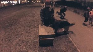 Обучение командам взрослой собаки