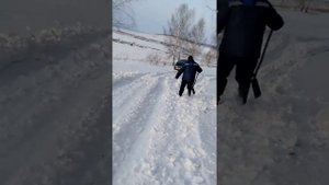Тойота естима