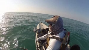 RAPTOR MIGRATION ~ KAYAK FISHING MALAYSIA