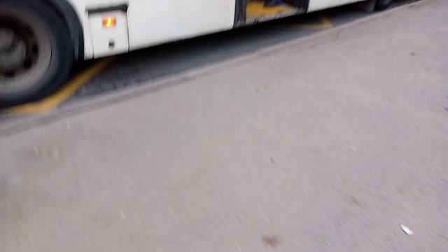 Автобус 327 маршрут МАЗ-203 8147 и 337 маршрут 5293.53 3562 Усть-Ижора-Улица Труда смотреть онлайн