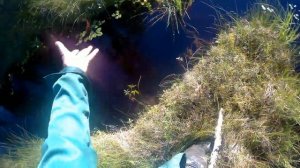 тестирование искусственного опарыша