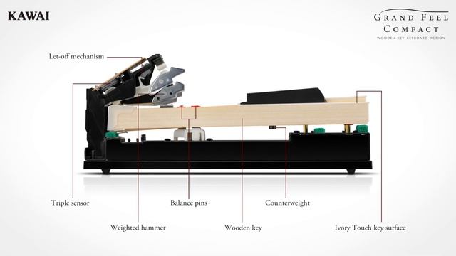 KAWAI CA59 Digital Piano DEMO - English смотреть онлайн