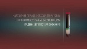 Система контроля охраны "Стимул". Контроль обхода территории.