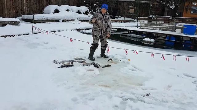 28 декабря 2016 г. смотреть онлайн