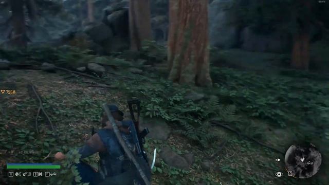 Гайд Days Gone Как попасть к Разбитым вертолетам Неро?