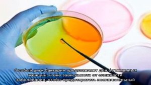 Кишечная палочка в моче