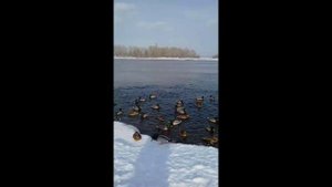 Релаксовая музыка для  нервной системы