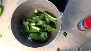 Малосольные огурцы/Хрустящие вкусные/Быстрый и простой рецепт малосольных огурчиков