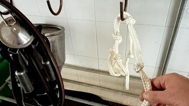 Отел коровы. Подготовка места для отела. смотреть онлайн