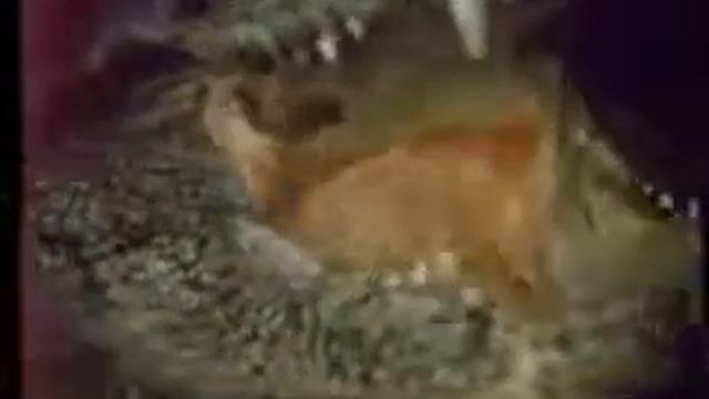 Horror Safari Trailer 1982 смотреть онлайн