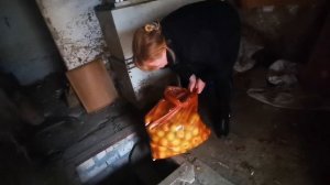 5 серия. Переезд с севера на юг _ Побывали в Простоквашино _ Распаковка покупок. Влог