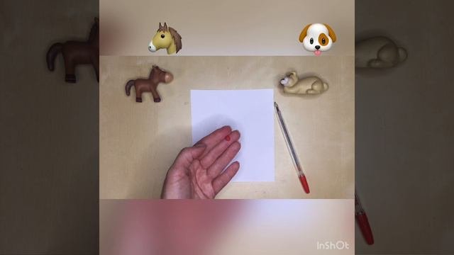 Точка,луч,прямая.