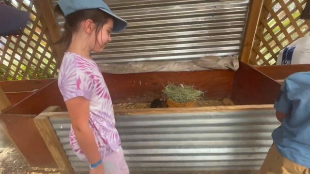 #337 США-ВЛОГ-АМЕРИКАНСКАЯ ФЕРМА -КАК РАЗВЛЕКАЕМ ДЕТЕЙ - ПАСХА В США -USADAY смотреть онлайн