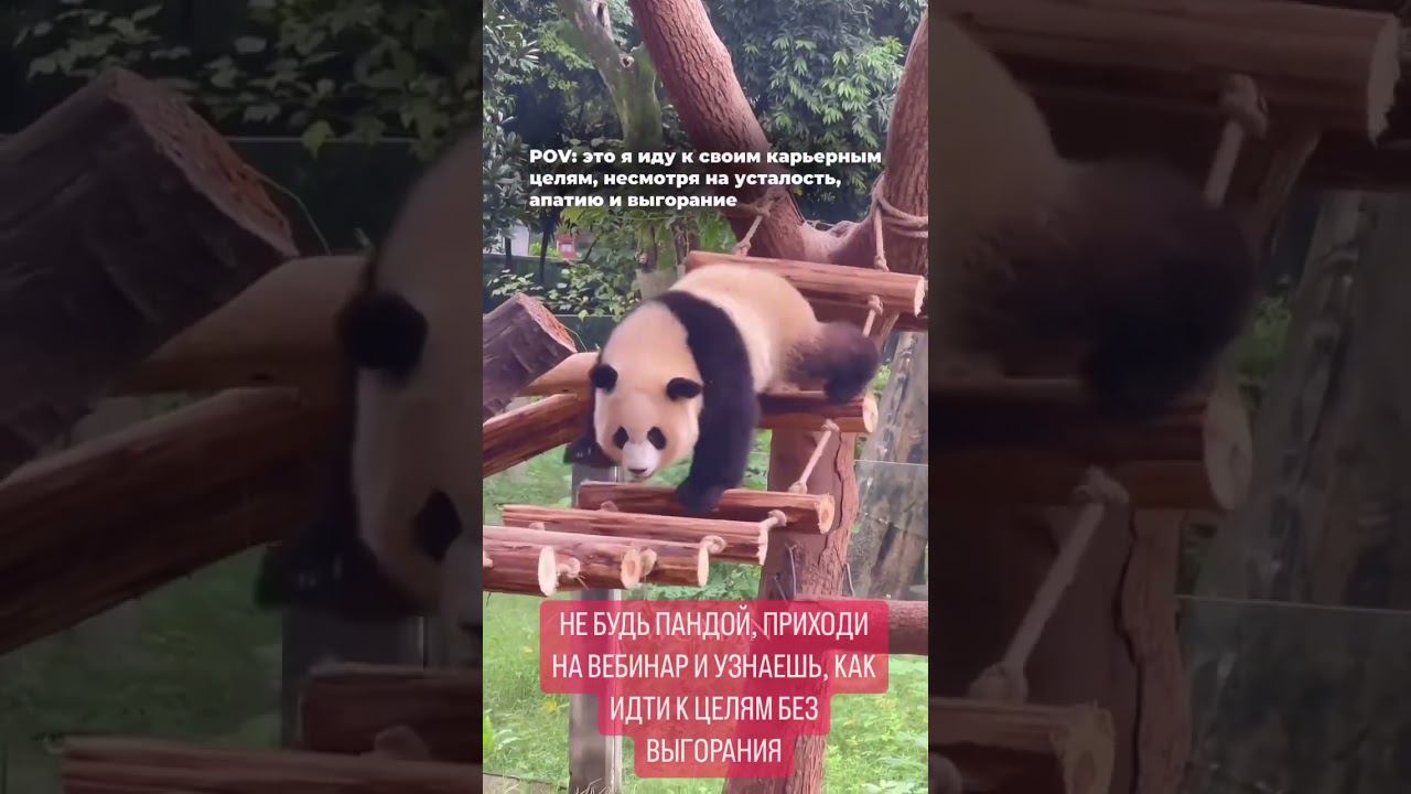 КАК ДОСТИГАТЬ ЦЕЛЕЙ БЕЗ ВЫГОРАНИЯ?#личностыйрост#денежноемышление#анализличности#управлениеденьгами