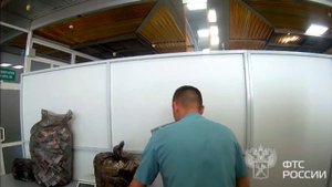 50 килограммов таблеток обнаружили в багаже пассажира в аэропорту Иркутска