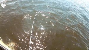 Закрытие летней рыбылки на омуля. Байкал 2023 г.