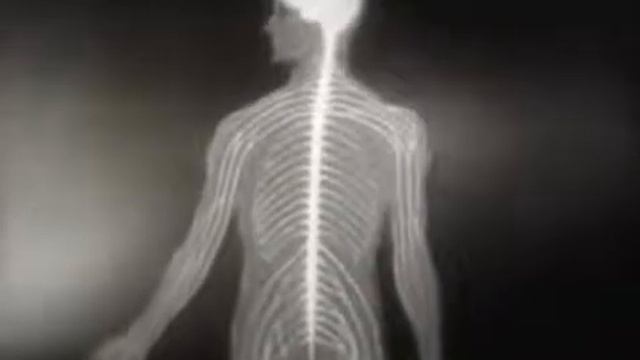 Физиология мышечной и нерфной ткани НаучФильм СССР 1963 Физиология смотреть онлайн