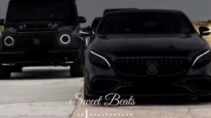 Черные фонтанчик черный дельфином