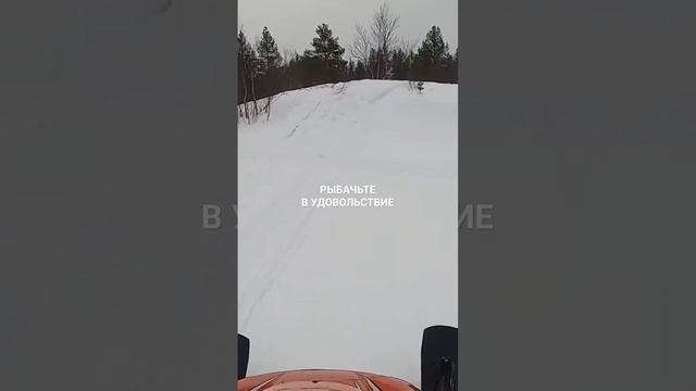 Покатушки на снегоходах. смотреть онлайн