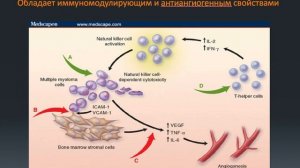 Римашевская Е.В. Иммуномодуляторы в лечении миеломы.