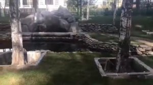 Декоративный пруд и ландшафтный дизайн участка