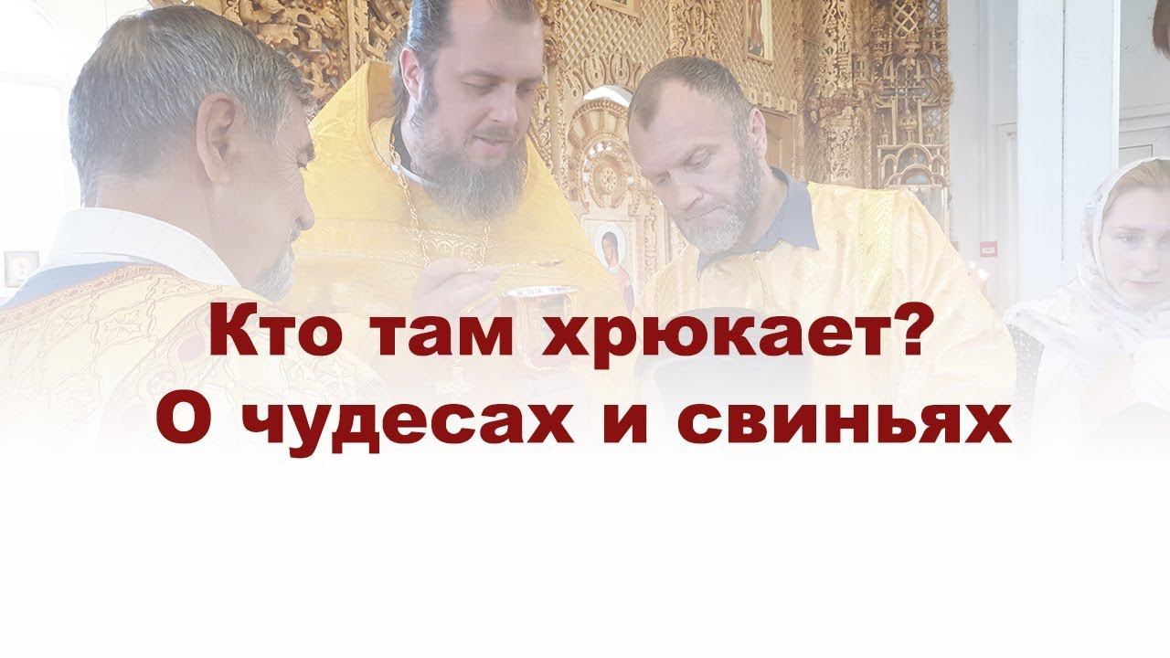 Кто там хрюкает? О чудесах и свиньях