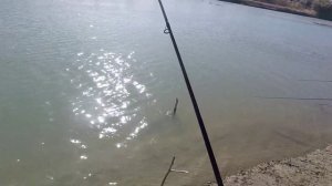 жерех на реке Лепсы ловля жереха ловля на ратлины с АлиЭкспресс рыбалка моя рыбалка в Казахстане