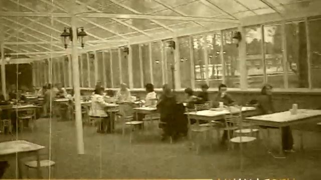 Анимационная деятельность смотреть онлайн